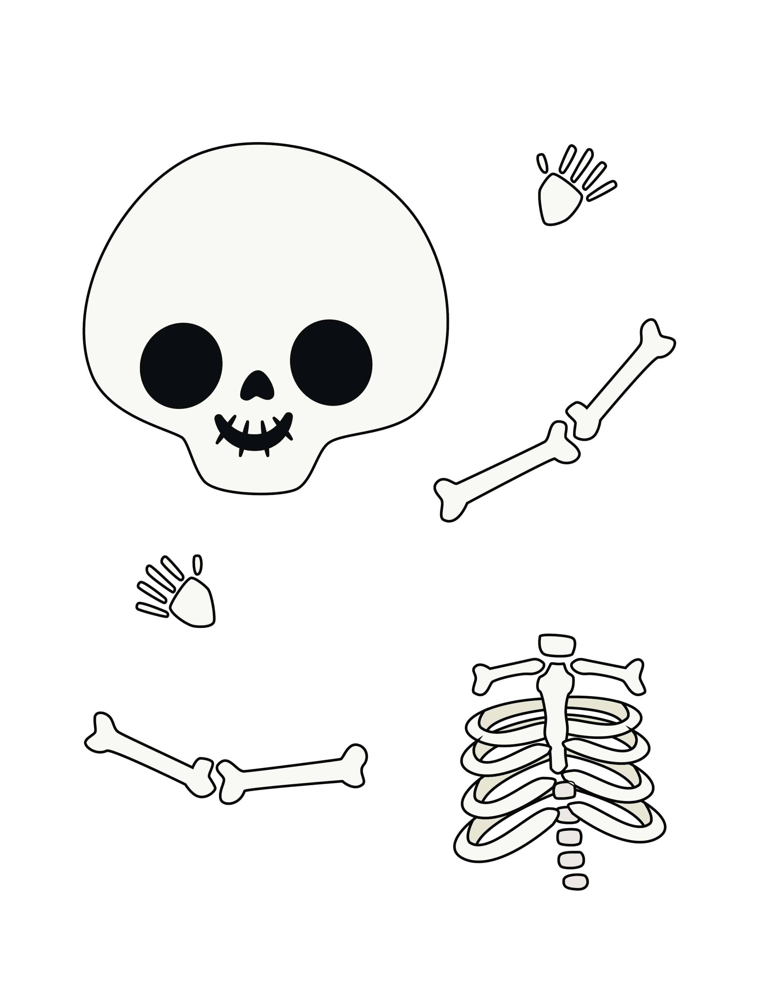 build your skeleton put bones together