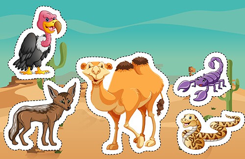 free sorting animal game teacher activities for students