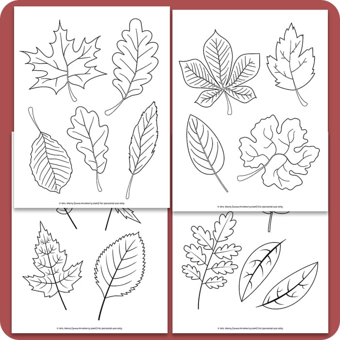 fall leaves coloring pages pdf
