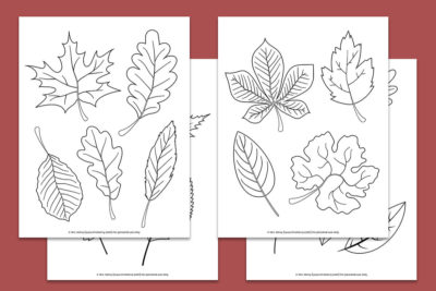 free printables fall leaves coloring sheets