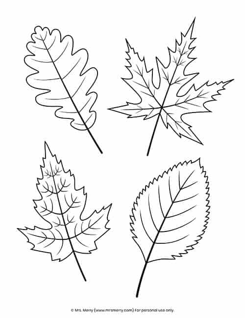 leaves coloring sheets fall activities for kids