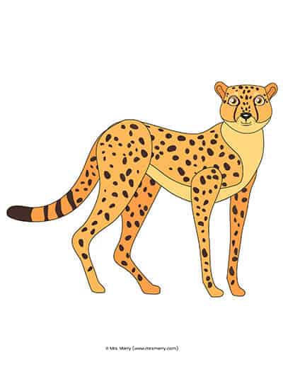 free cheetah printable for kindergarteners