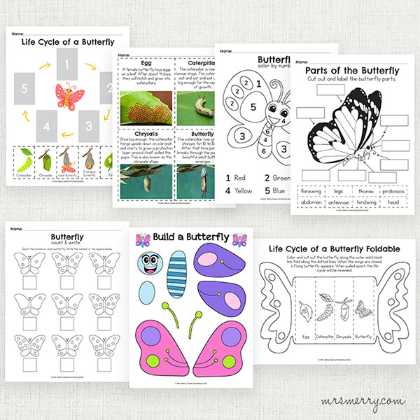 butterfly printable activities for kids