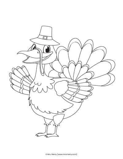 smiling thanksgiving turkey with pilgrim hat