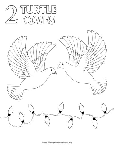 Second day of Christmas: Two Turtle Doves