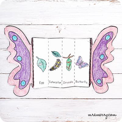 butterfly life cycle activity printable