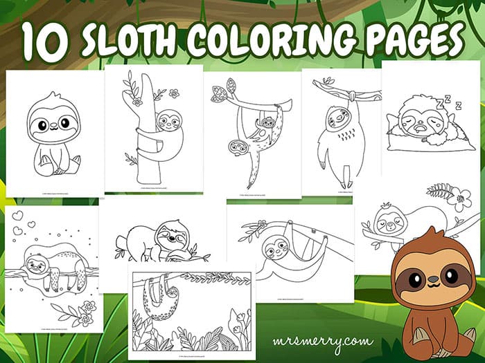 sloth colouring pages to print